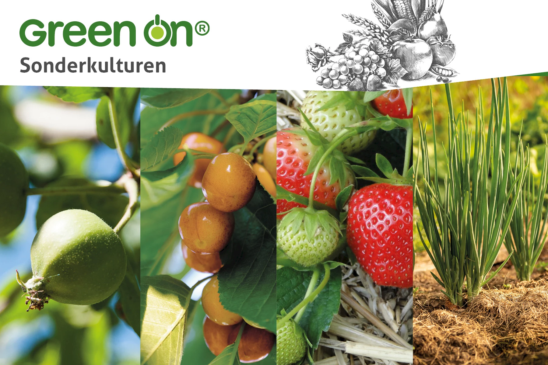 Green On® Sonderkulturen